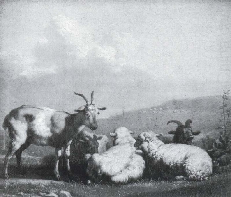 Sheep and goats, Karel Dujardin